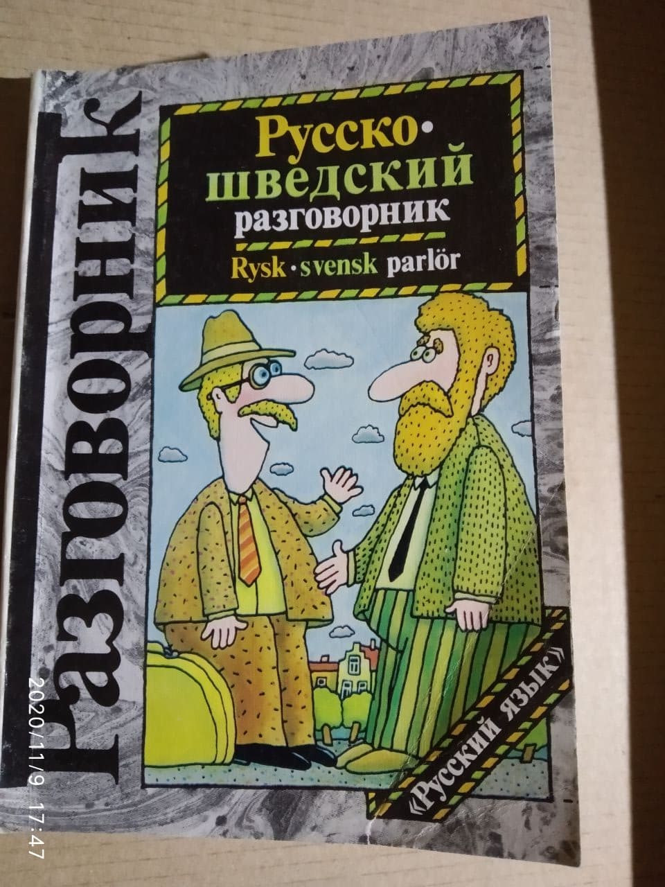 Російсько-шведський розмовник Кайса Ингемарссон.