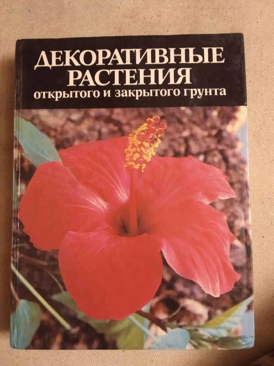 Декоративні рослини відкритого і закритого грунту. А. М. Гродзинського