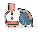 Обладнання для птахівництва