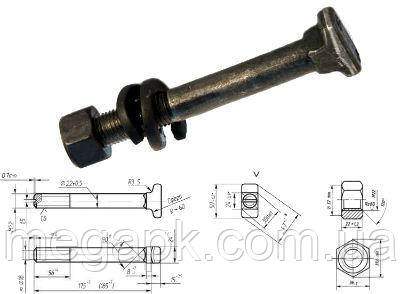 Болт закладний 22х175