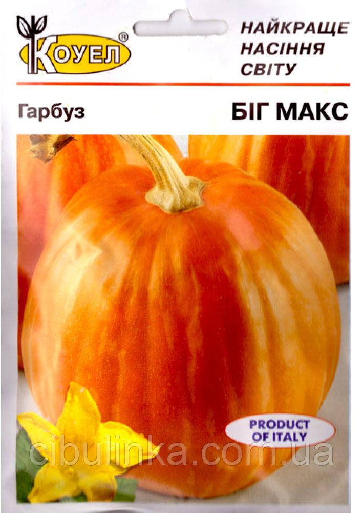 Гарбуз Біг Макс Італія 10 г