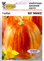 Гарбуз Біг Макс Італія 10 г