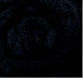 Шерсть для валяния Новозеландская кардочесанная (10 грамм) Черная К1008. Фелтинг. Вовна для валяння