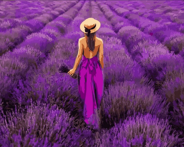 Картини за номерами 40х50 см Babylon Лавандові поля Провансу (VP 1311), фото 1