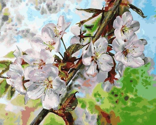 Картини за номерами 40х50 см Babylon Квітуча Вишня (VP 1313), фото 1