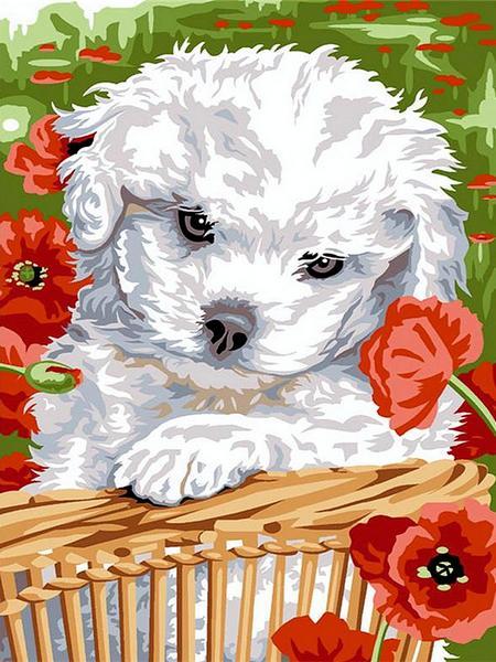 Картини за номерами 30х40 см Babylon Щеня в маках (VK 254), фото 1