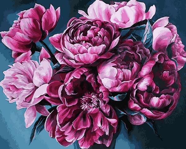 Картини за номерами 40х50 см Ніжні маки, фото 1