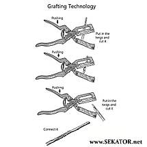 Секатор для щеплення рослин Grafting Technology / Графтінг Технолоджі v.2.0, фото 5