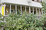 Остекление балконов лоджий, фото 5