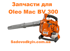 Oleo Mac BV 300