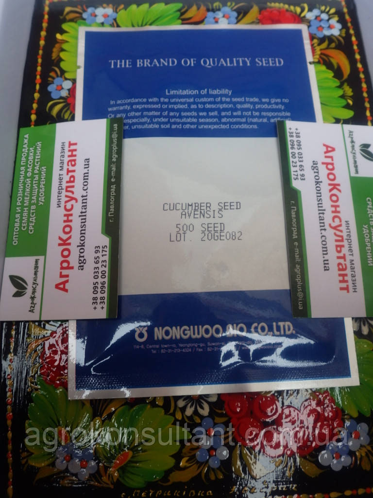 Насіння огірка Авенсіс (Аванс) F1 ( NongWoo Bio), 500 насінин — ранній (39-44 днів), партенокарпік, корнішон
