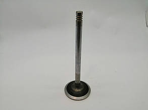 Впускний клапан Deutz 1013 (04255883)