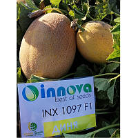 Дайана (INX 1097) F1 (1000 нас.) насіння дині Innova Seeds