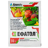 Фунгицид Эфатол 10 г Adiant+