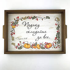 Таця (піднос) 30*42 див.