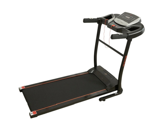 begovaya-dorozhka-wcg-h105-elektricheskaya-dlya-doma-zala-foto-2