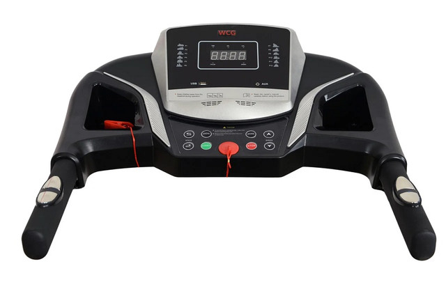 begovaya-dorozhka-wcg-h105-elektricheskaya-dlya-doma-zala-foto-6