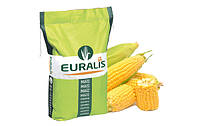 Насіння кукурудзи ES HATTRICK, 1 п.о. 80 000 насінин