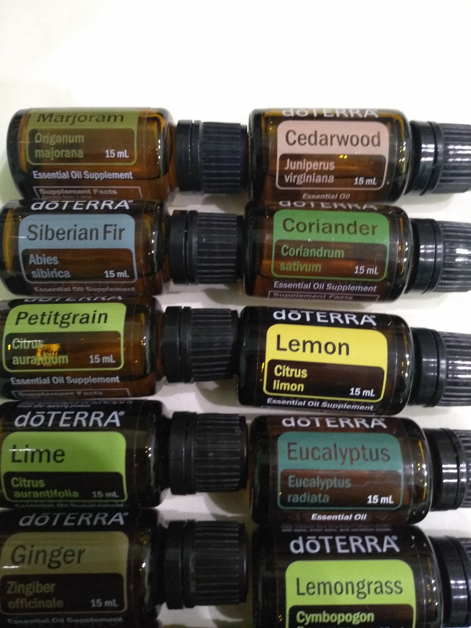 Ефірна олія Розмарин Rosemary doTerra 15 мл - фото 6 - id-p1313021724