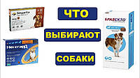 Бравекто, Симпарика або Нексгард. Що краще від кліщів?
