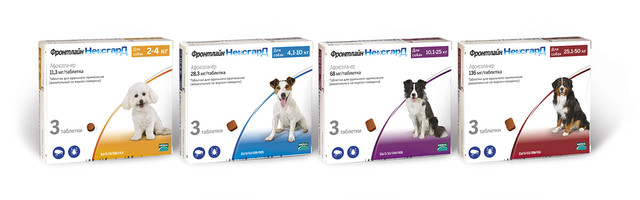 Бравекто, Симпарика або Нексгард. Що краще від кліщів?. Статті компанії ...