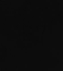 Фарба-спрей для замші та нубуку 100 мл чорна bskcolor platinum