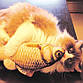 Іграшка риба для кішок Карась CatNip плюшева 3D з котячою м'ятою 30 см, фото 4