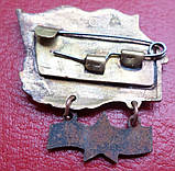 Знак за дальній похід "ЮГ" корабель, фото 2