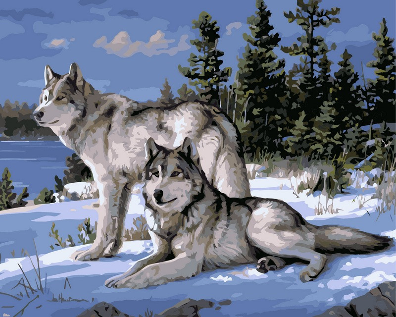 Картина за номерами 40х50 см Babylon Вовки на снігу Художник Хаутман Джозеф (VP236)