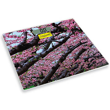 Ваги квадратні підлогові домашні Maestro MR-1823 | ваги електронні Маестро | персональні ваги Маестро