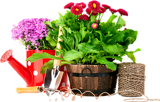 Товари для саду та городу