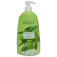Шампунь для волос Gallus Olive с экстрактом оливы 1л