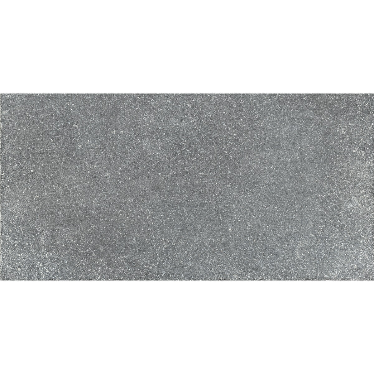 Плитка для басейну Aquaviva Granito Gray, 297x597x9 мм