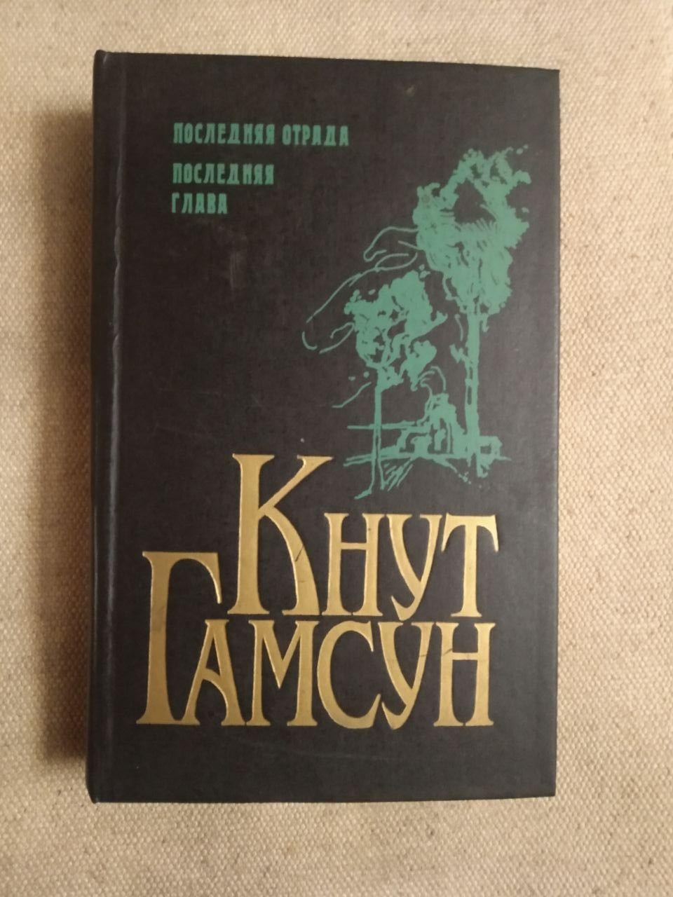 Кнут Гамсун. Остання відрада. Остання Глава