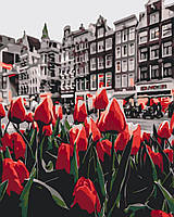 Картина по номерам Тюльпаны Амстердама Brushme 40 х 50 BS34169