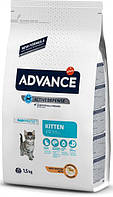Сухий корм для котів Advance Cat Kitten 1.5 кг. для кошенят, а також для вагітних і годуючих кішок.