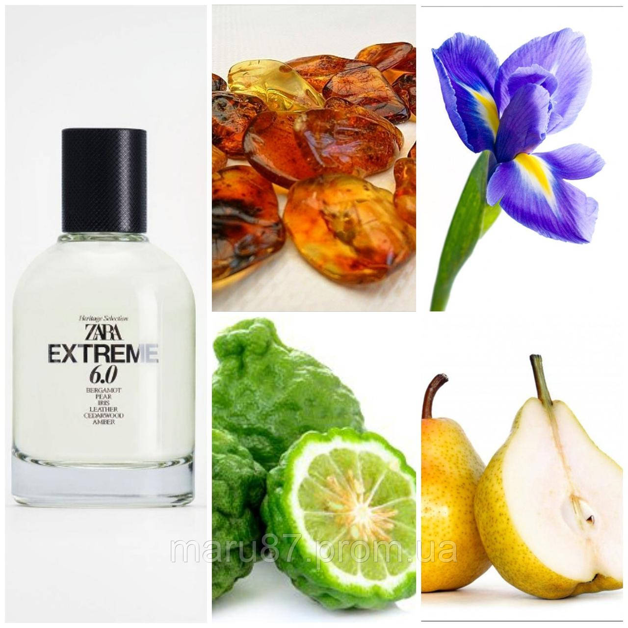 zara extreme 6.0