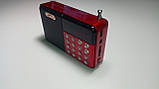 Радіоприймач Peryom M-123, FM 87-108 Mhz, USB/microSD, mp3, акумулятор 18650, фото 5