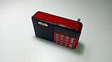 Радіоприймач Peryom M-123, FM 87-108 Mhz, USB/microSD, mp3, акумулятор 18650, фото 6