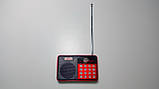 Радіоприймач Peryom M-123, FM 87-108 Mhz, USB/microSD, mp3, акумулятор 18650, фото 3