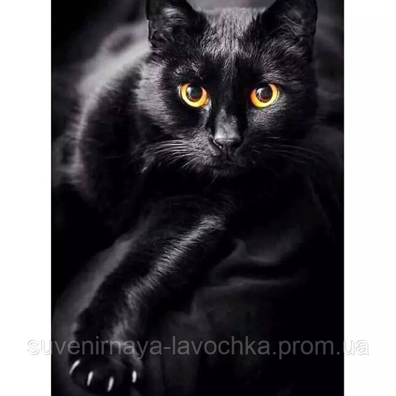 Алмазная мозаика, полная " Черная кошка",30 x 20 см. Квадратные стразы
