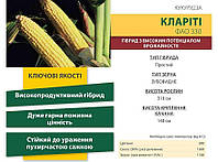 Насіння кукурудзи CLARITI CS, 1 п.о. 80 000 насінин