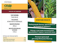 Насіння кукурудзи SEIDDI, 1 п.о. 80 000 насінин