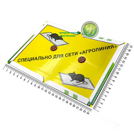 Книжка клейова 24х17 см (маленька) (Китай), від щурів і мишей, фото 1