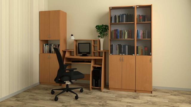 Пример обустройства оисного кабинета мебелью Компанит