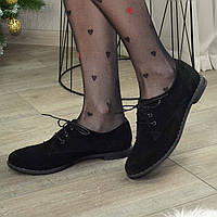 Туфлі жіночі замшеві чорні на шнурівці, низький хід