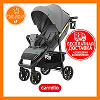 CARRELLO ECHO CRL-8508/2 прогулянкова коляска Rhino Gray