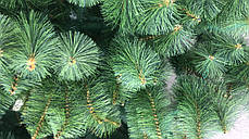 Штучна сосна "Сосна Мікс Pine Mix" 2.3 м, фото 4