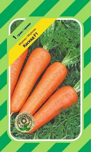 Каскад F1 насіння моркви, 1 г — 130 днів, тип Шантане Bejo Zaden