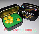 Золотий Муравей — Gold Ant — Препарат для потенції, 10табл*3800 мг. (Голд ант), фото 2